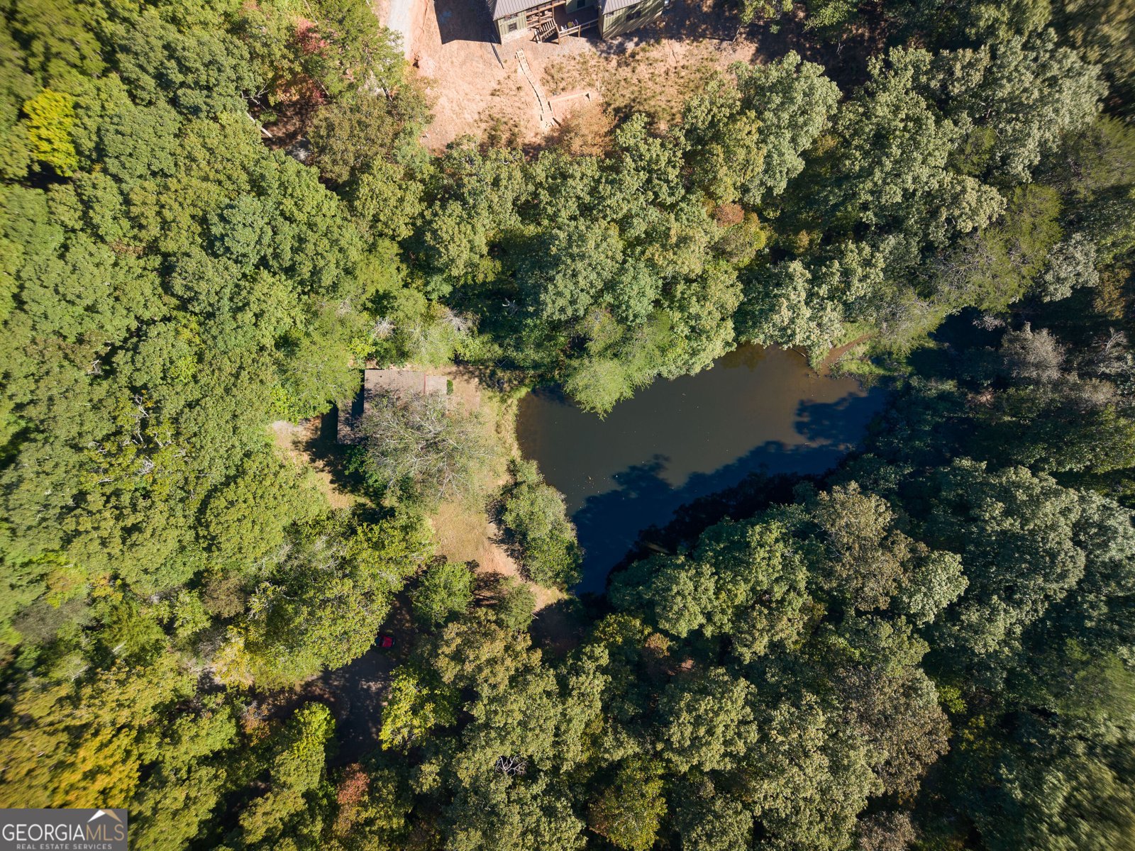 427 Cross Creek Road Mineral Bluff - Photo 10