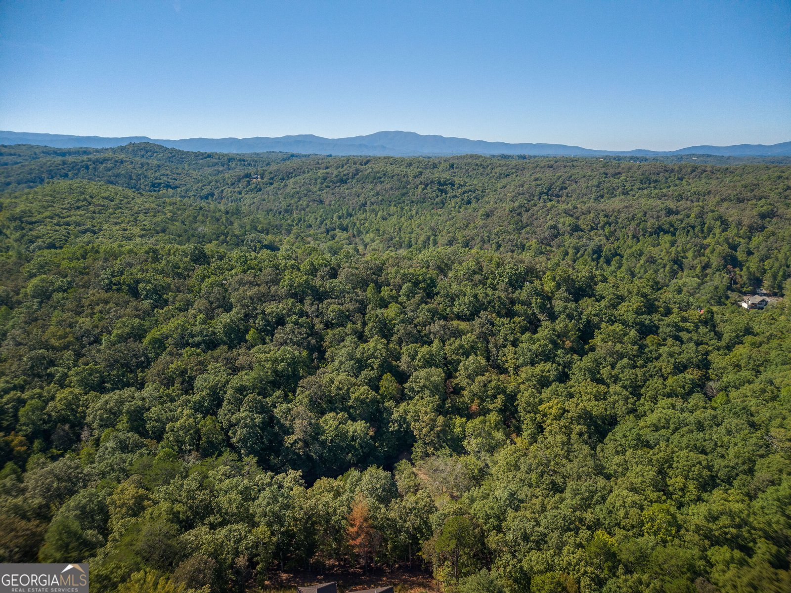 427 Cross Creek Road Mineral Bluff - Photo 41