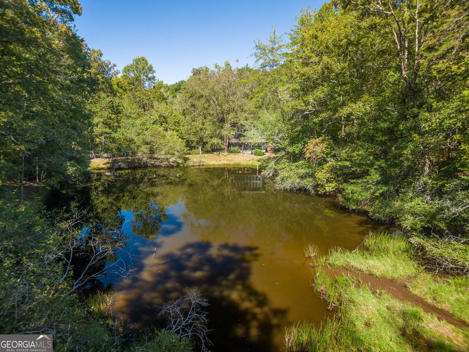 427 Cross Creek Road Mineral Bluff - Photo 7