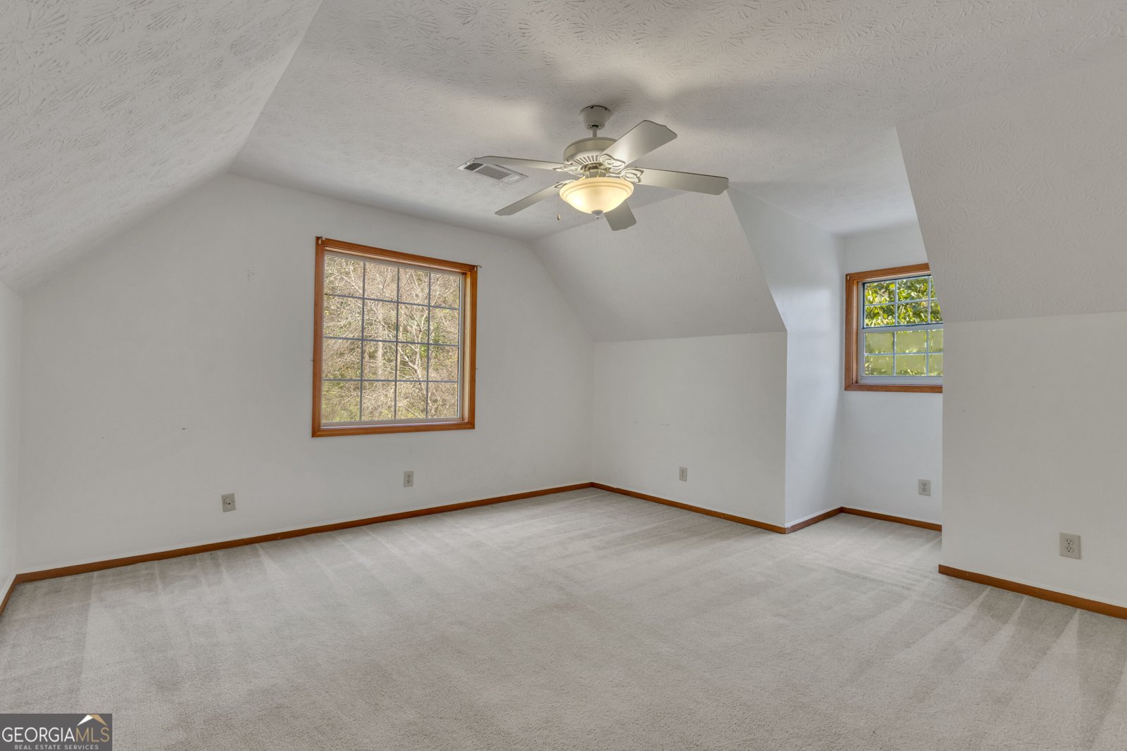 11855 Jones Ferry Road Chattahoochee Hills - Photo 28