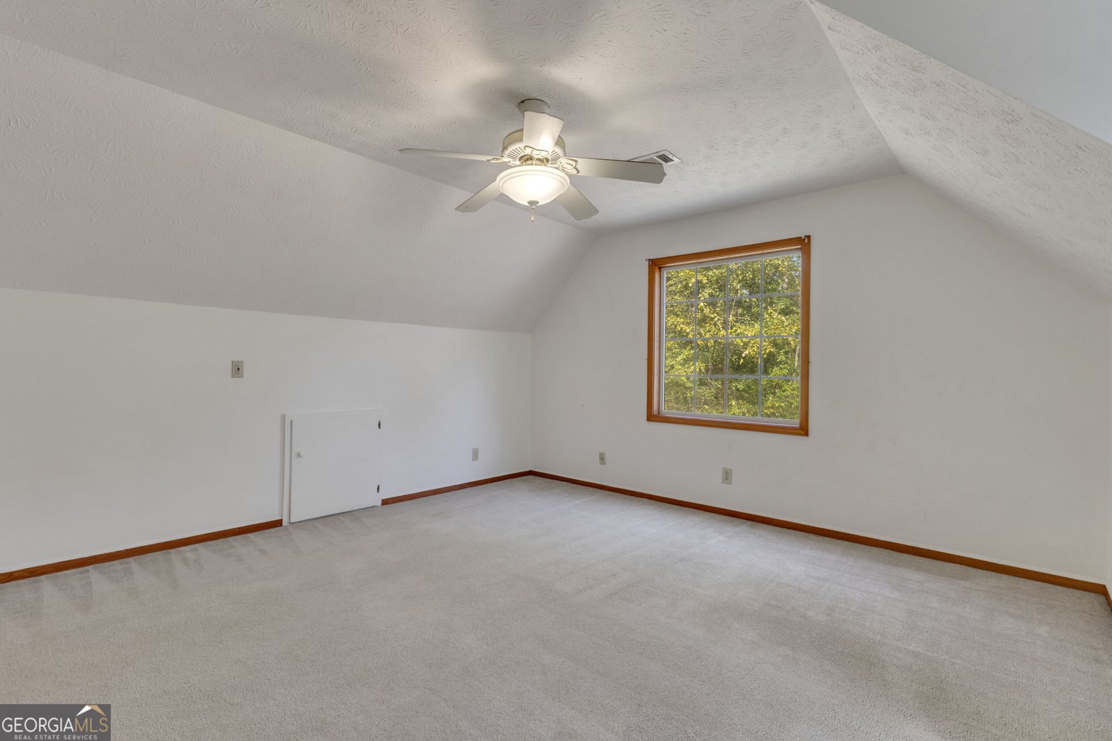 11855 Jones Ferry Road Chattahoochee Hills - Photo 30