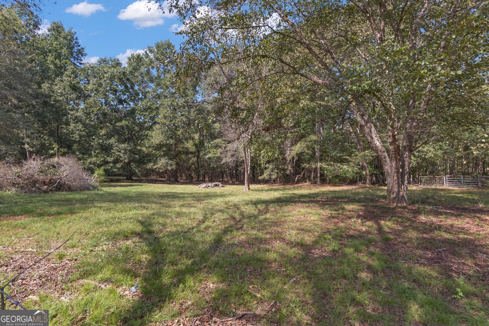 11855 Jones Ferry Road Chattahoochee Hills - Photo 64