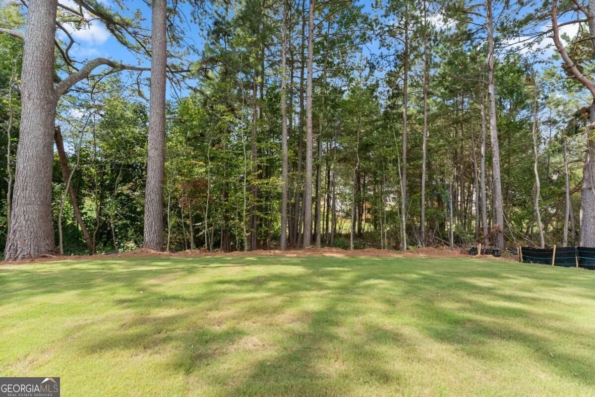519 Creek Road Cornelia - Photo 43