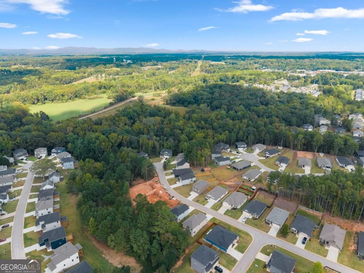 519 Creek Road Cornelia - Photo 50