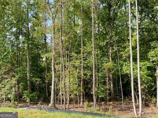 LOT 171 SNUG HARBOR Place Newnan - Photo 6