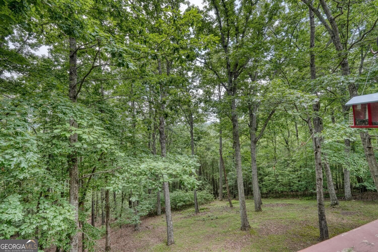 171 Mountain Top Road Blairsville - Photo 50