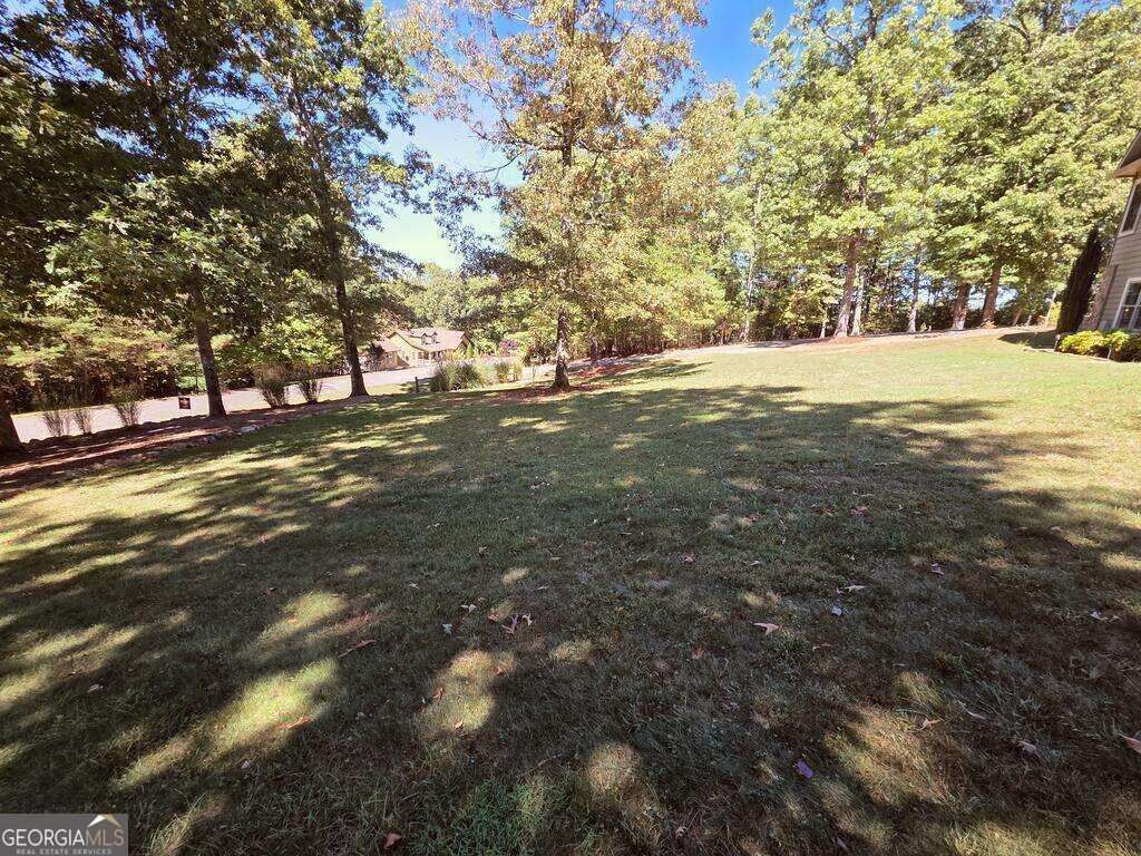 159 Apple Blossom Road Blairsville - Photo 70