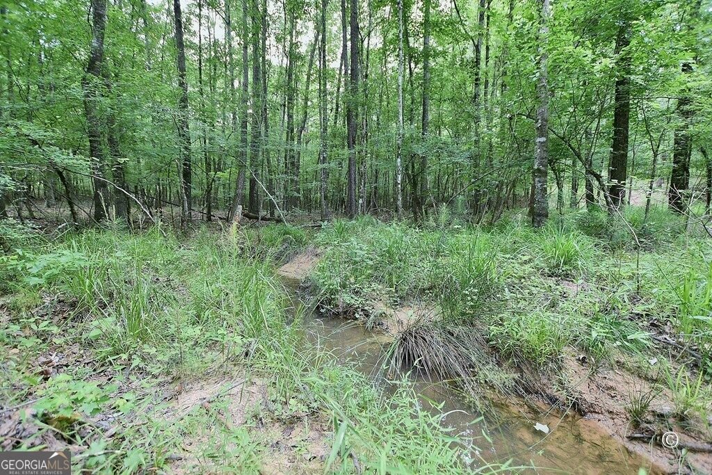 21921 Highway 0315 Waverly Hall - Photo 97