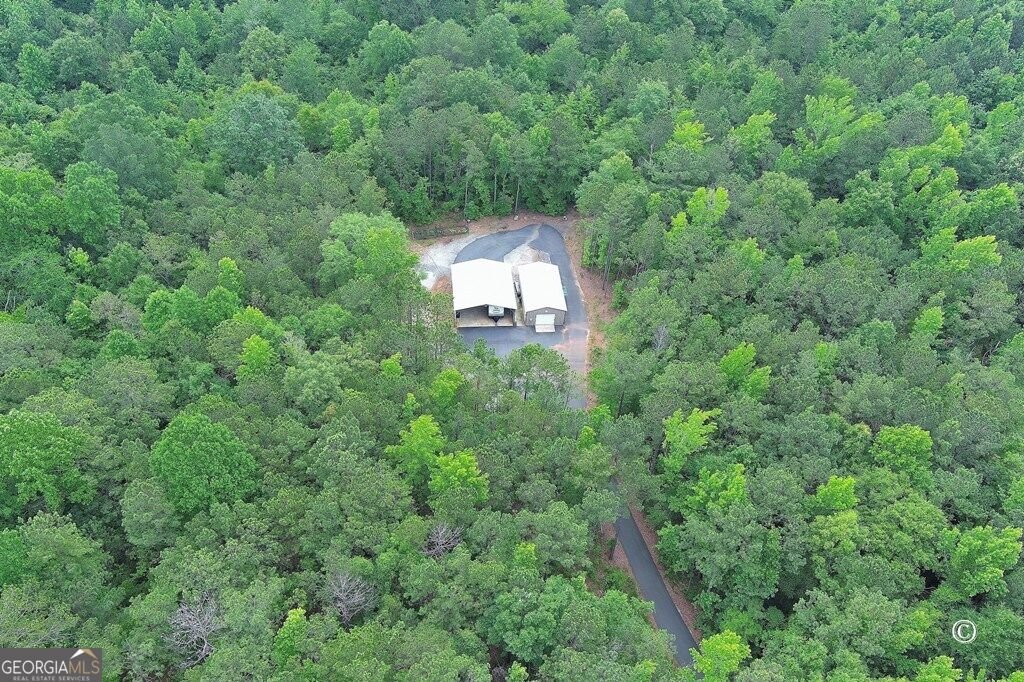 21921 Highway 0315 Waverly Hall - Photo 98