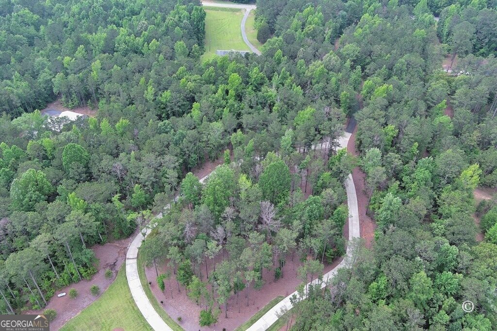 21921 Highway 0315 Waverly Hall - Photo 99
