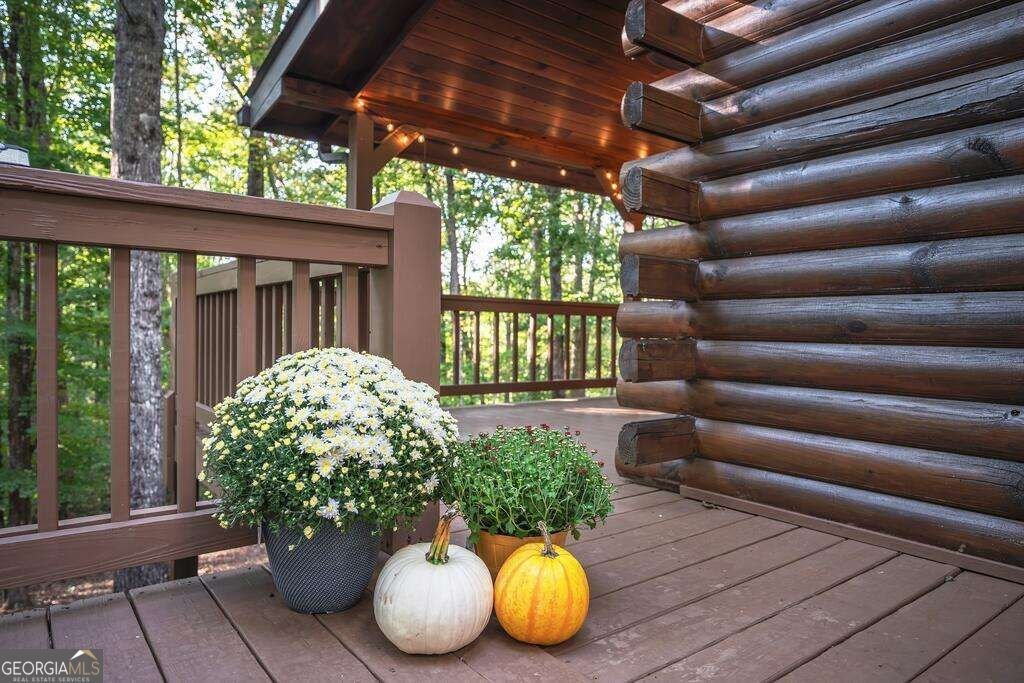 157 Sunrise Lane Blue Ridge - Photo 29