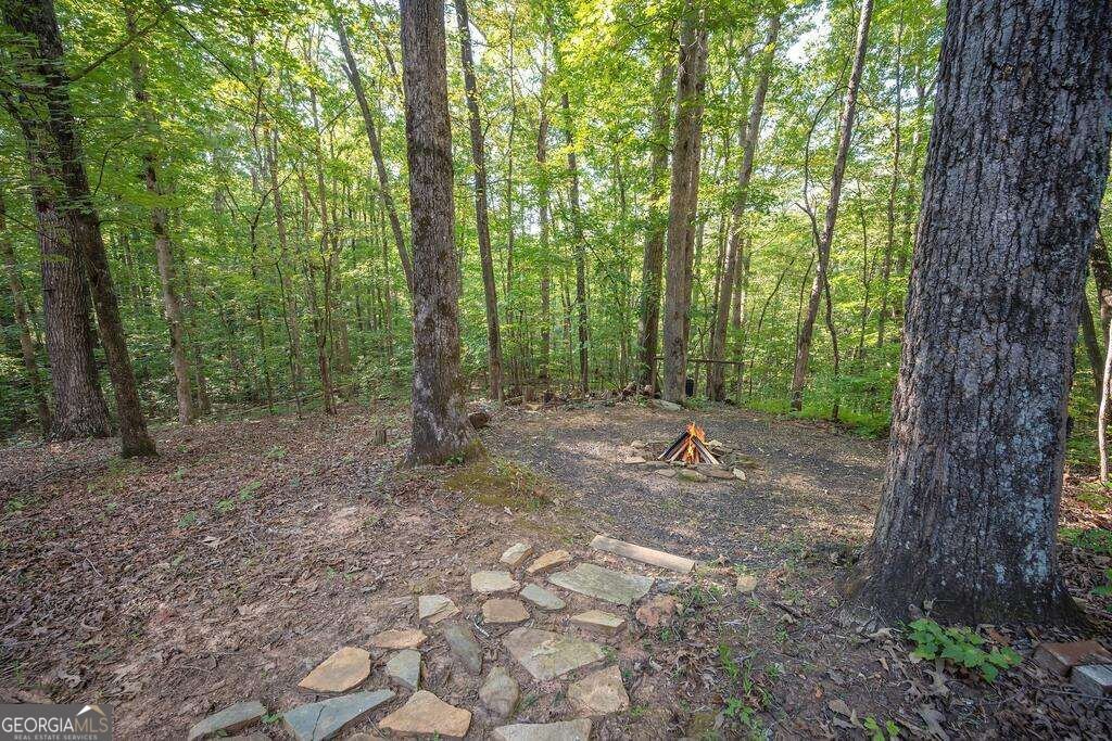 157 Sunrise Lane Blue Ridge - Photo 41