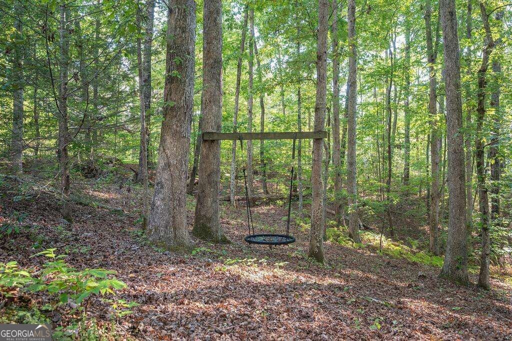 157 Sunrise Lane Blue Ridge - Photo 42