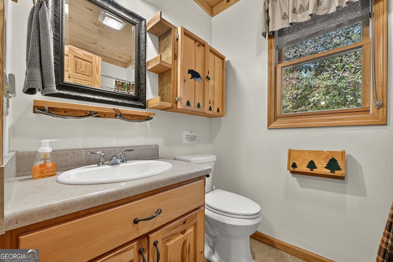 1175 Nexus Drive Ellijay - Photo 20