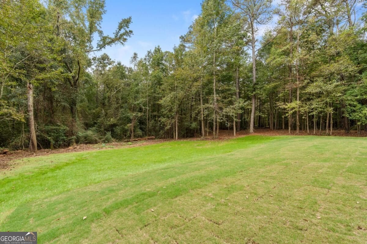 1810 Sandy Flat Road Bowdon - Photo 47