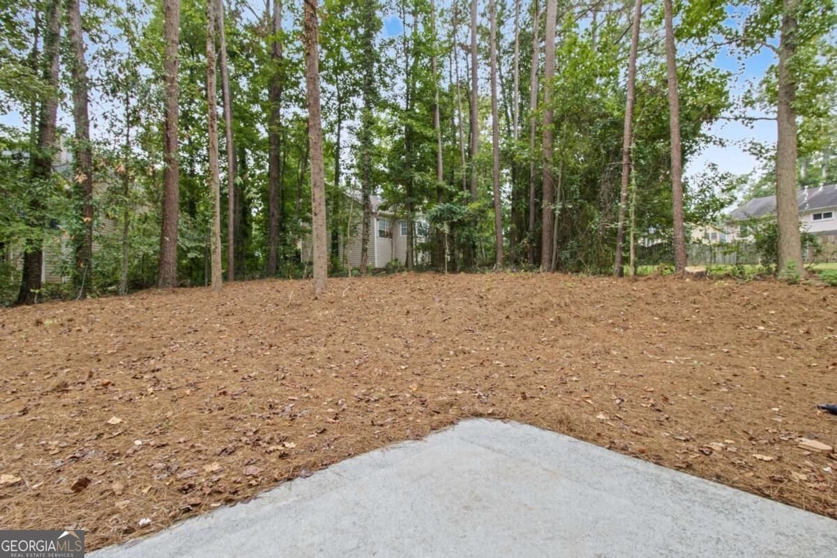 1738 Wedgewood Drive Stone Mountain - Photo 42