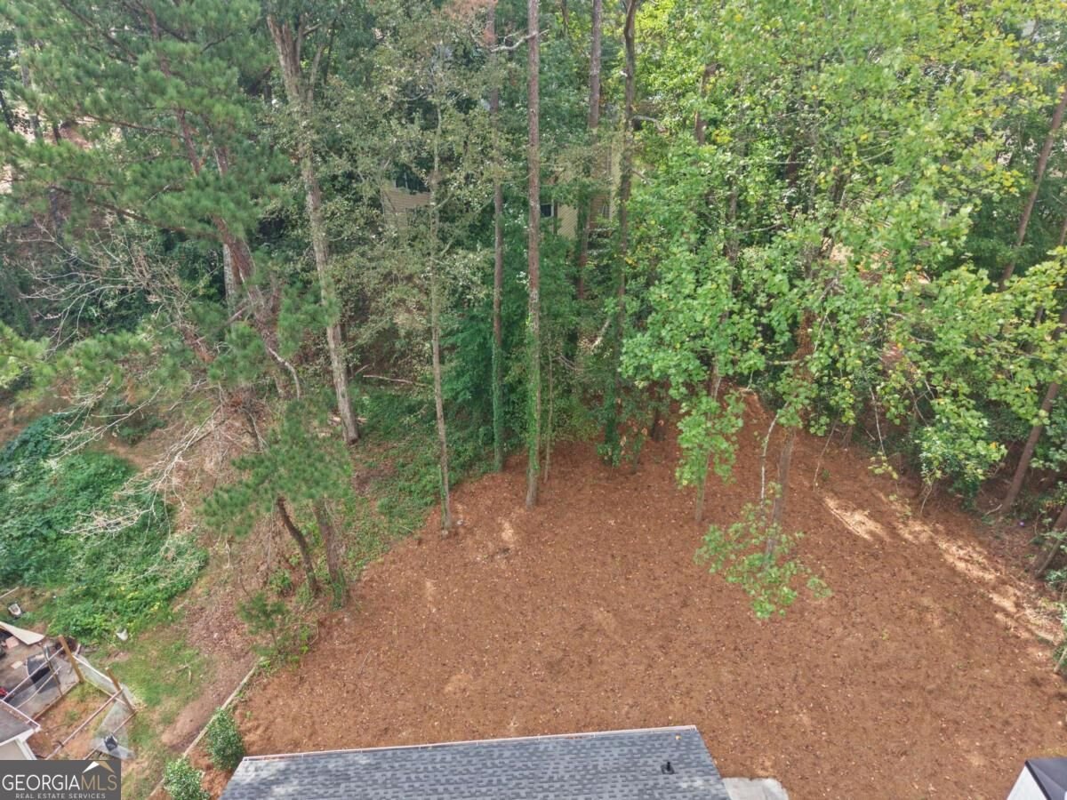 1738 Wedgewood Drive Stone Mountain - Photo 45