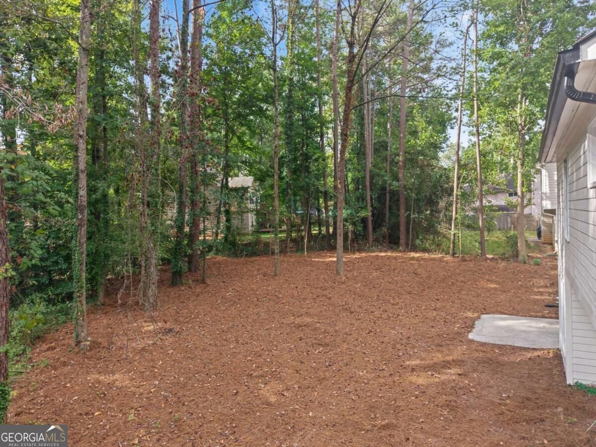 1738 Wedgewood Drive Stone Mountain - Photo 48