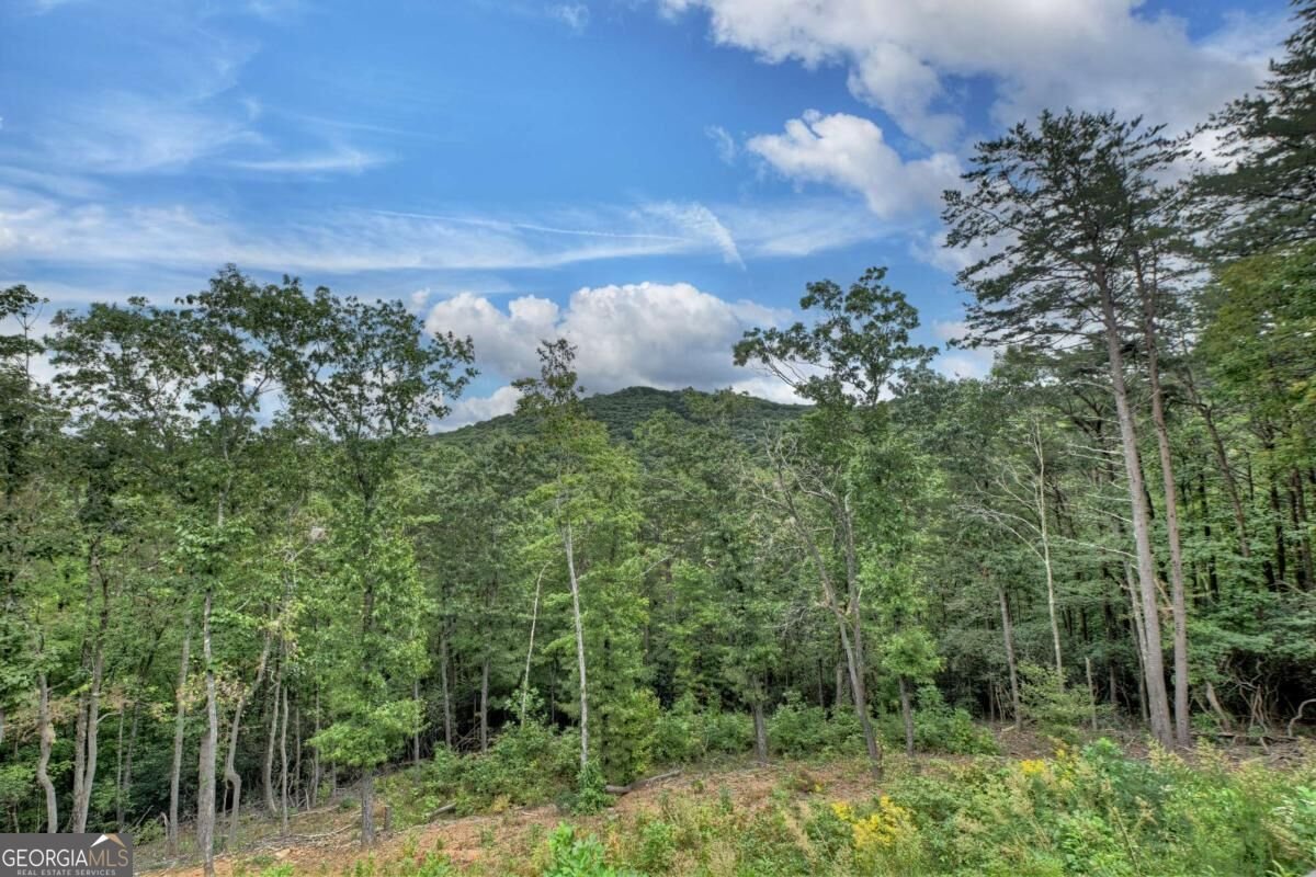 528 Cloudland Drive Ellijay - Photo 61