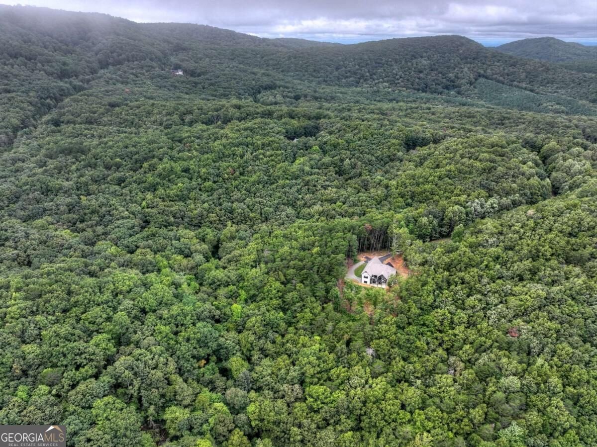 528 Cloudland Drive Ellijay - Photo 63