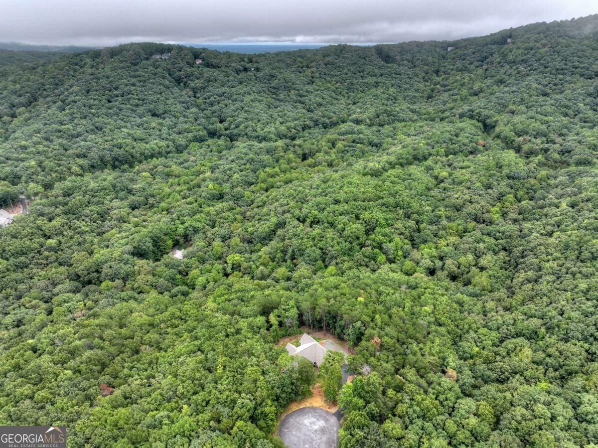 528 Cloudland Drive Ellijay - Photo 64