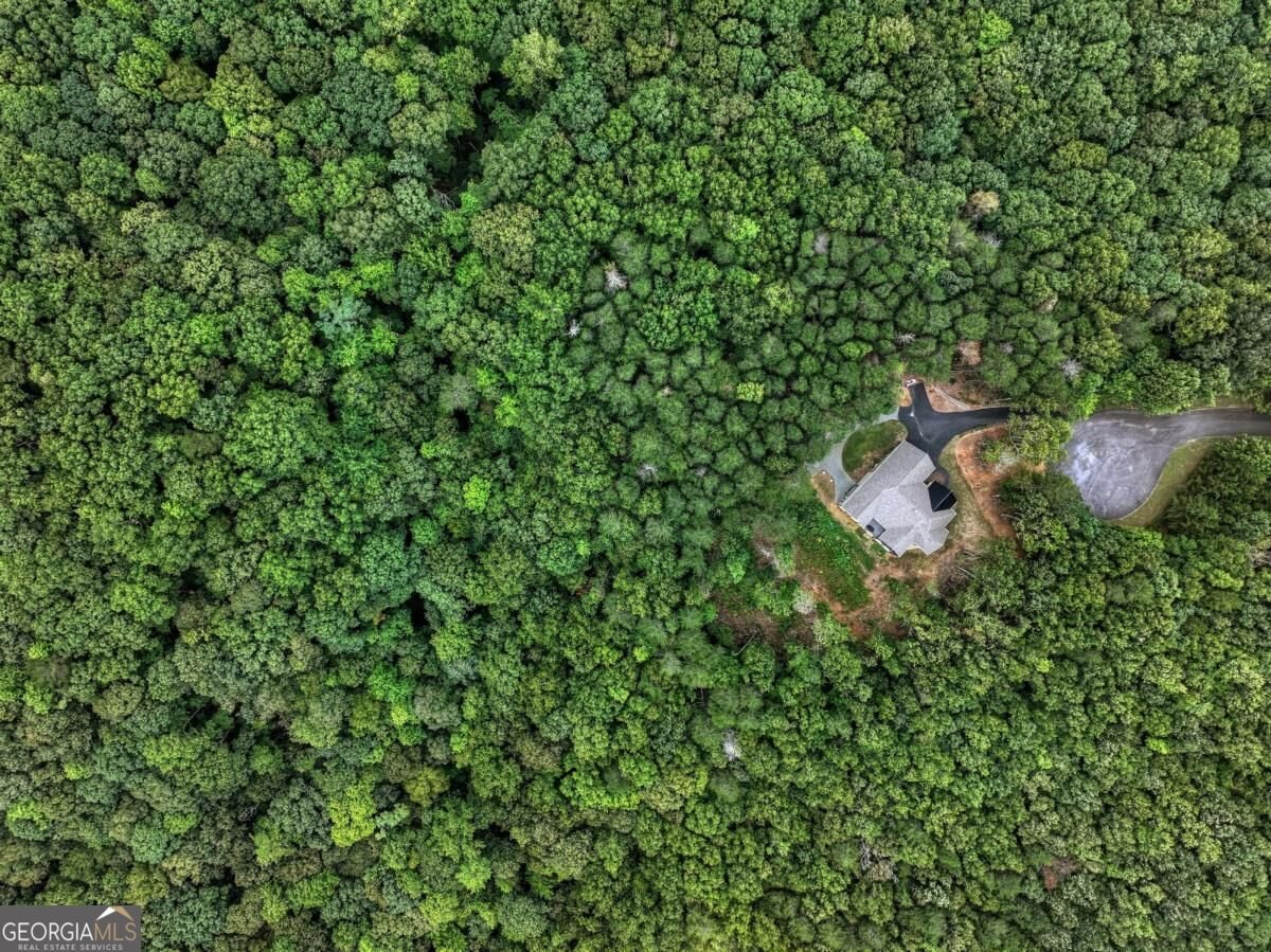 528 Cloudland Drive Ellijay - Photo 65