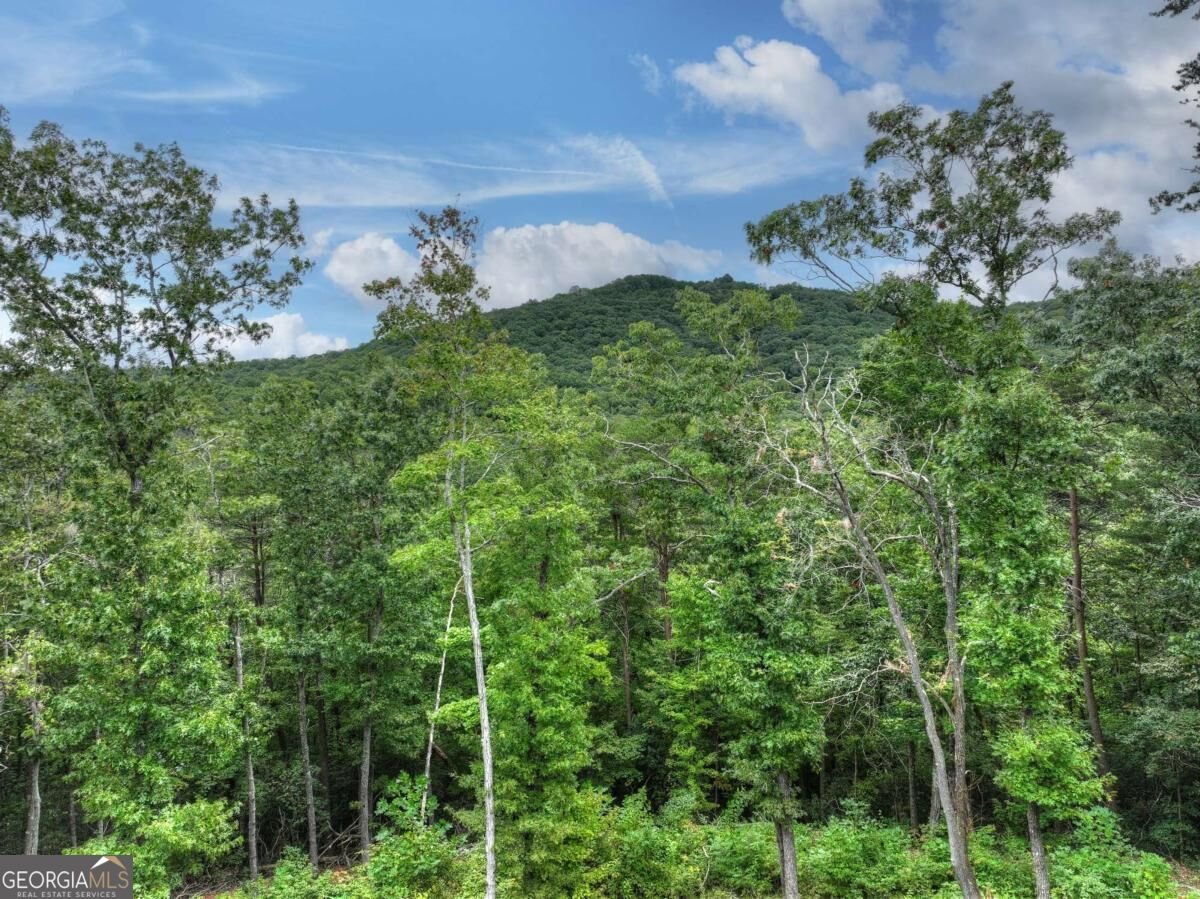 528 Cloudland Drive Ellijay - Photo 9