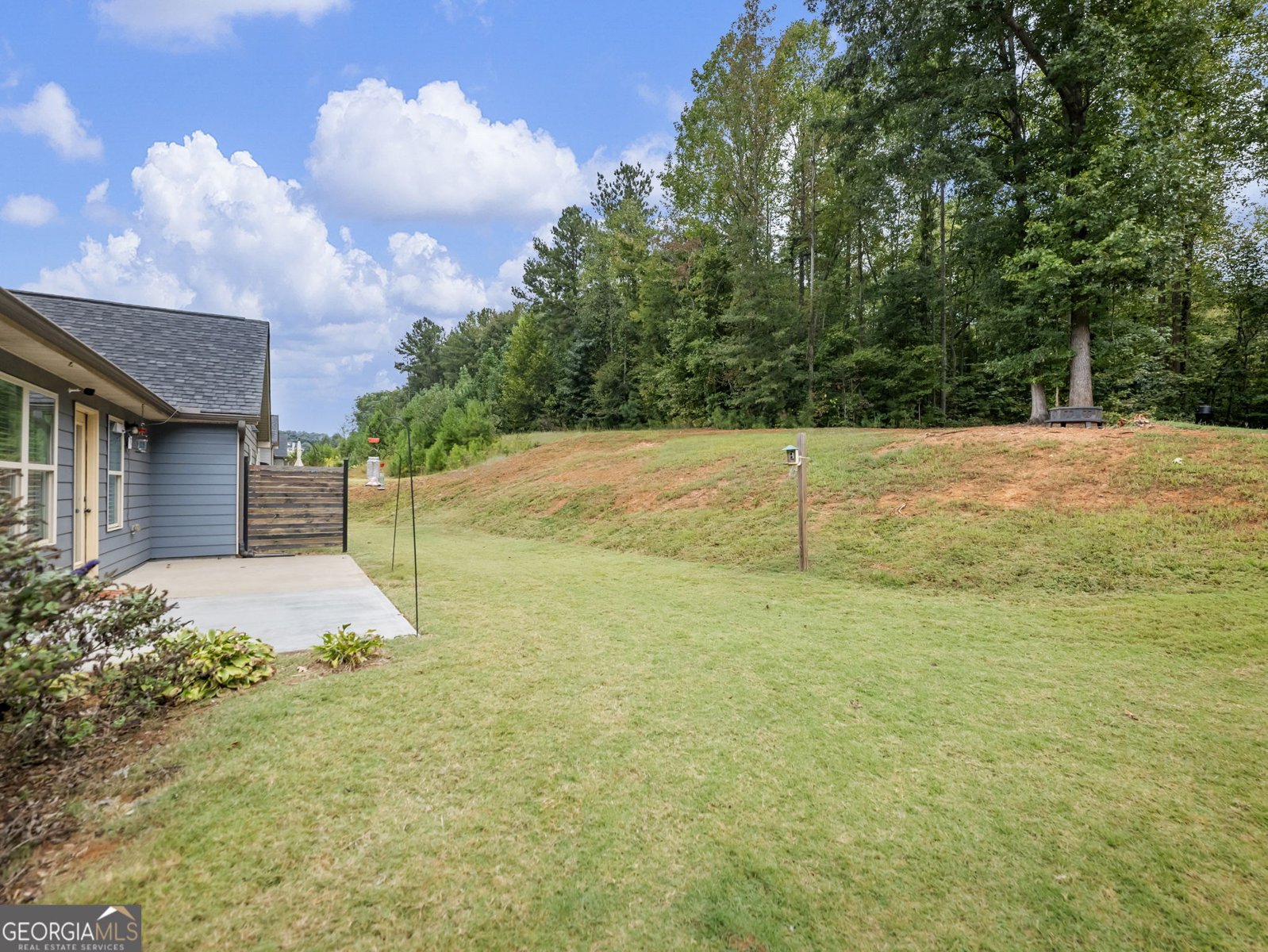 433 Emily Forest Way Pendergrass - Photo 45
