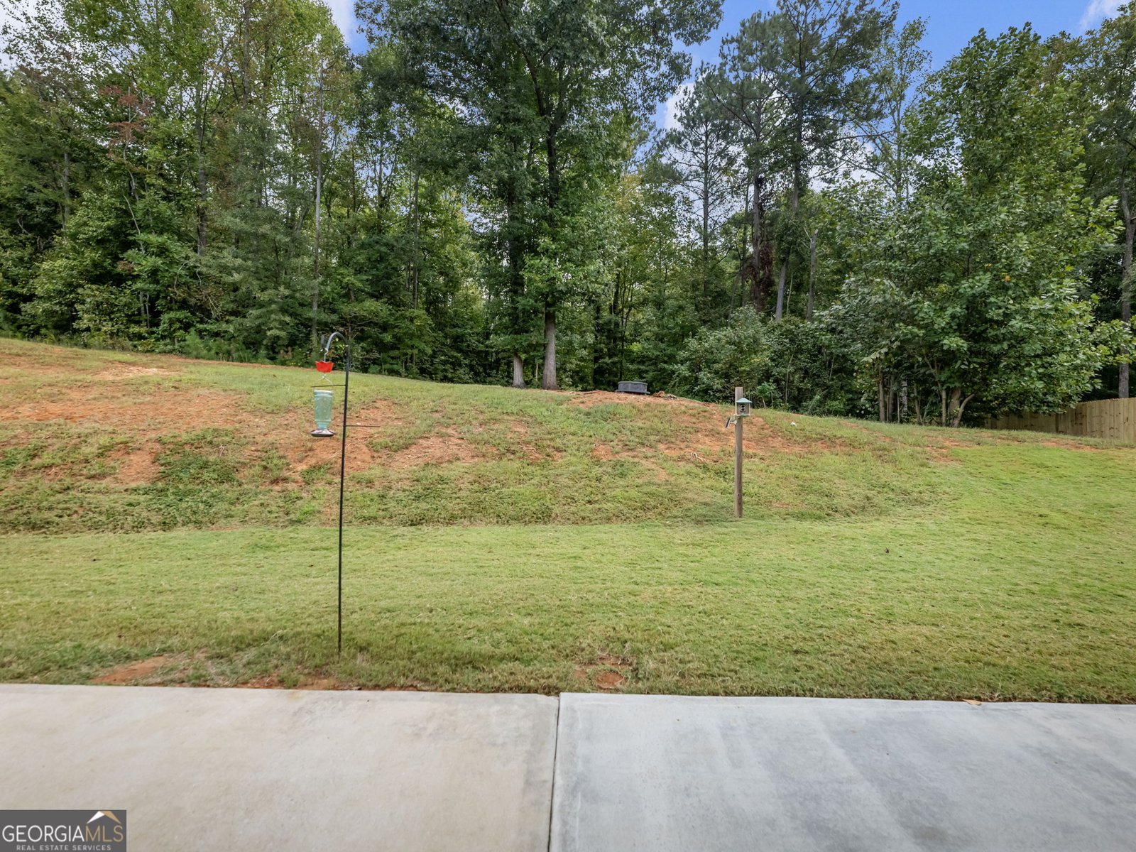 433 Emily Forest Way Pendergrass - Photo 46