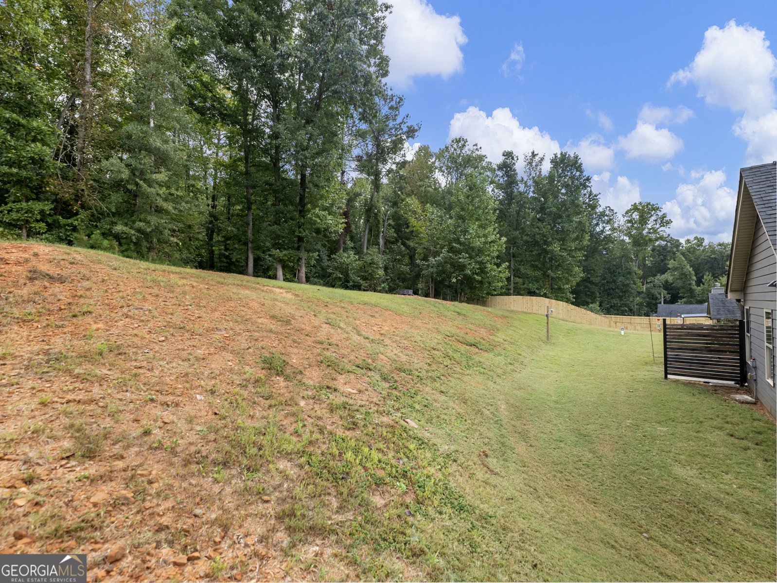433 Emily Forest Way Pendergrass - Photo 47