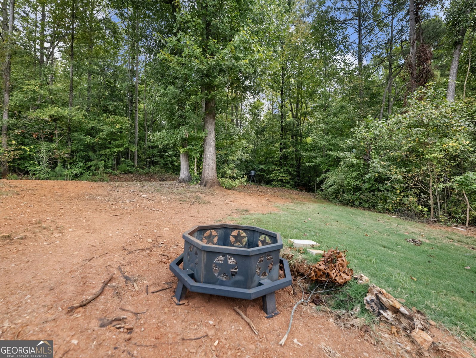 433 Emily Forest Way Pendergrass - Photo 49