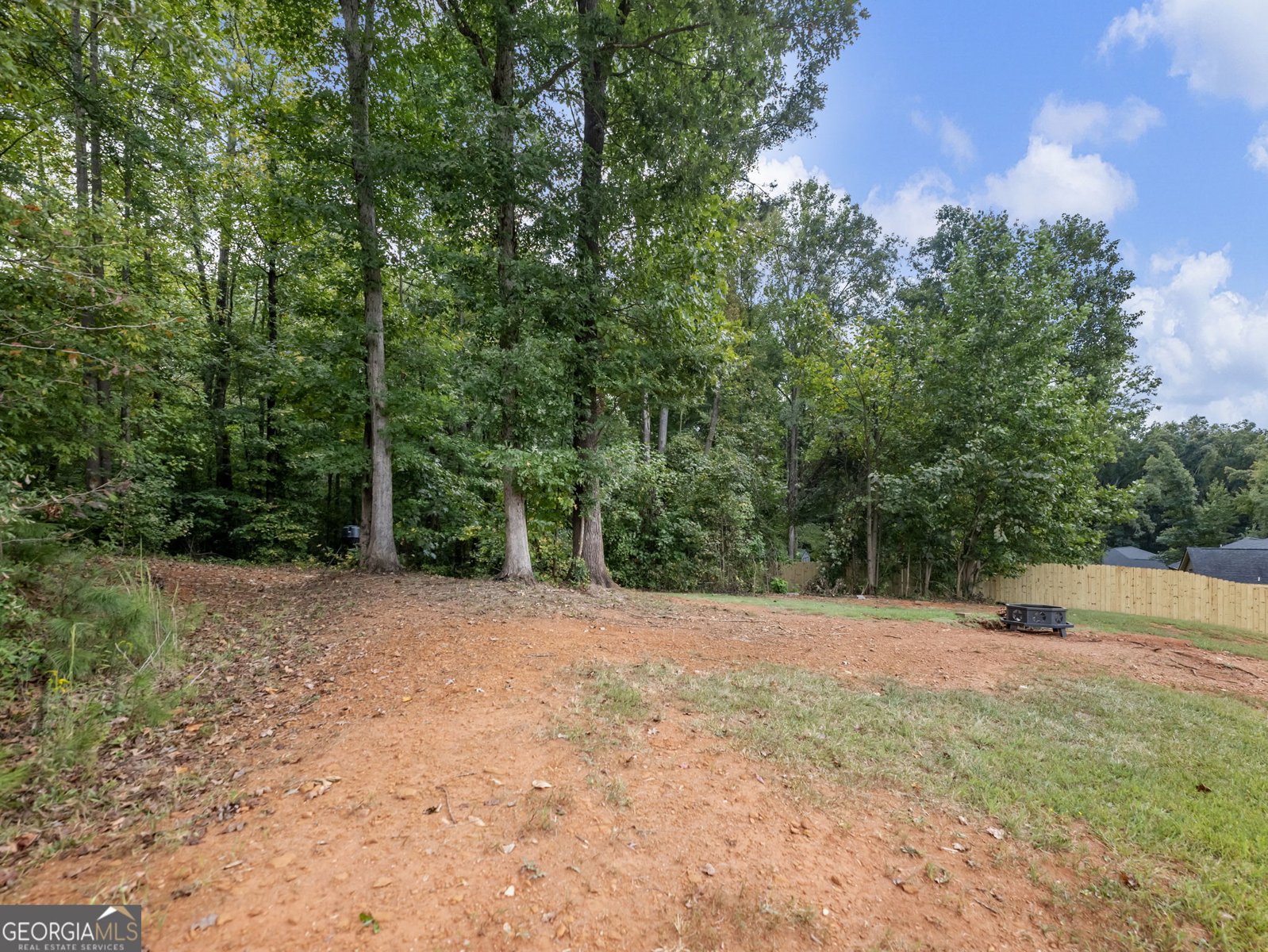 433 Emily Forest Way Pendergrass - Photo 50