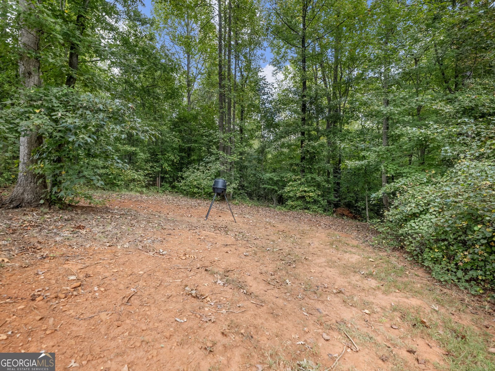 433 Emily Forest Way Pendergrass - Photo 51