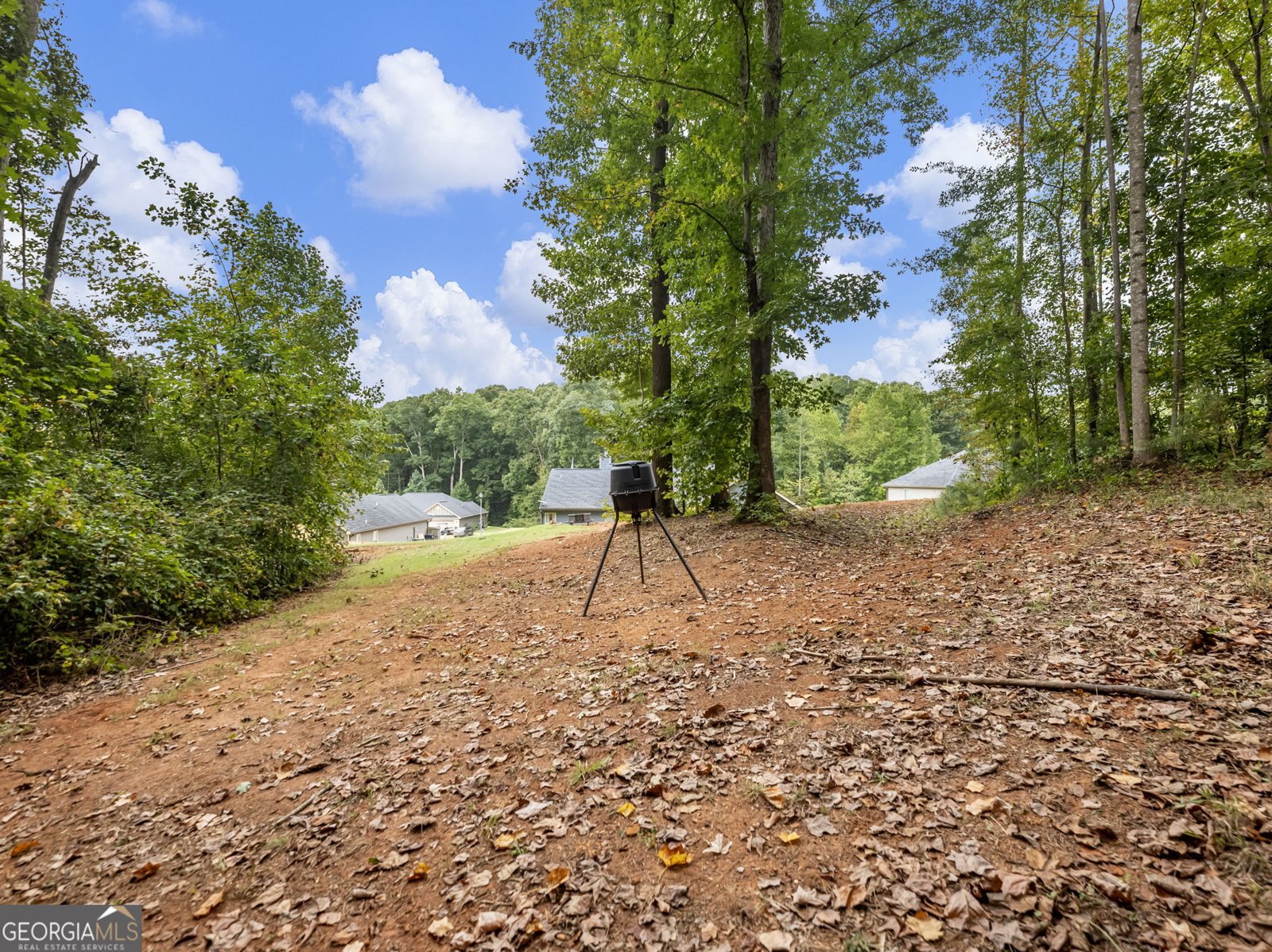 433 Emily Forest Way Pendergrass - Photo 52