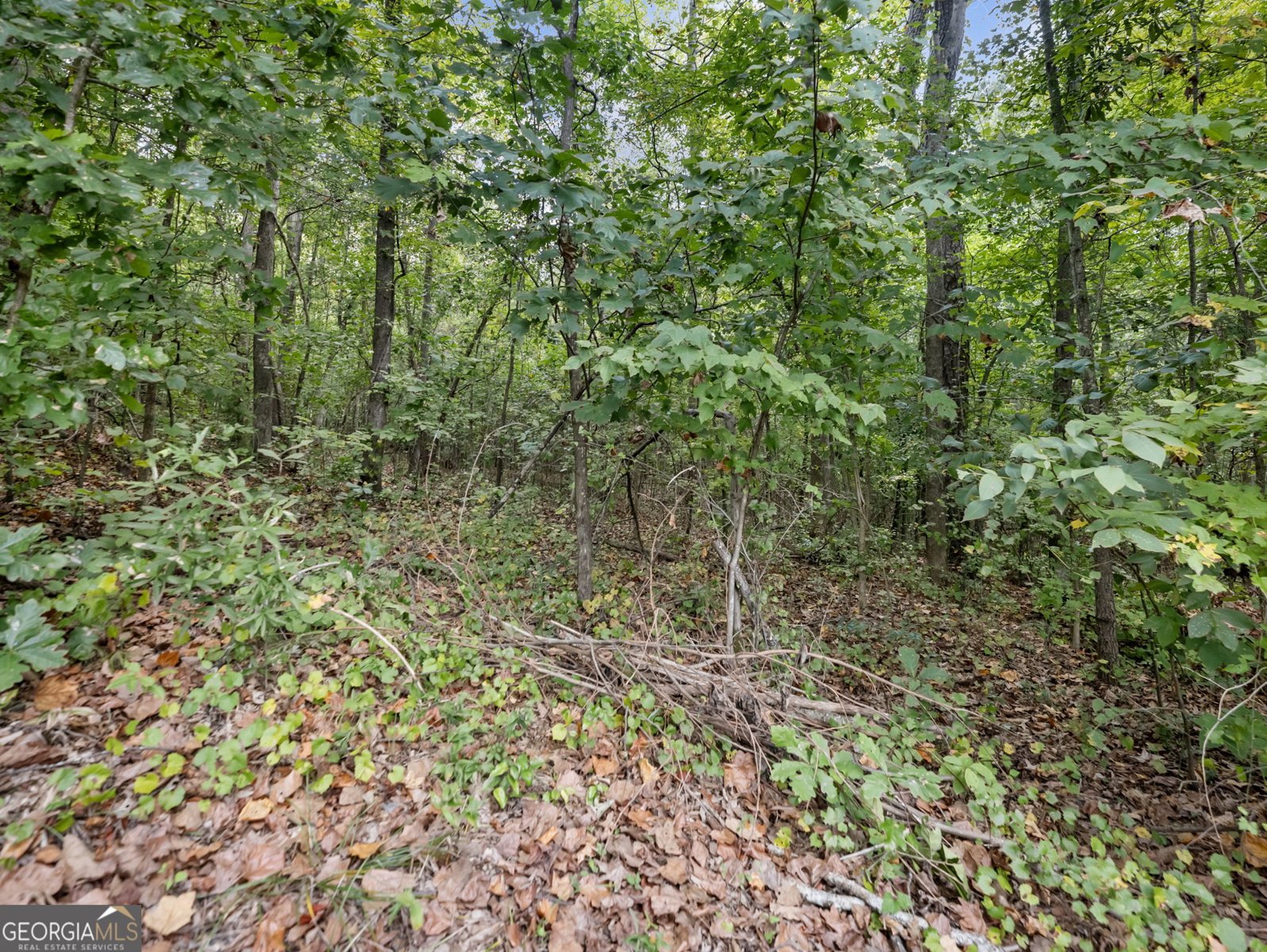 433 Emily Forest Way Pendergrass - Photo 53