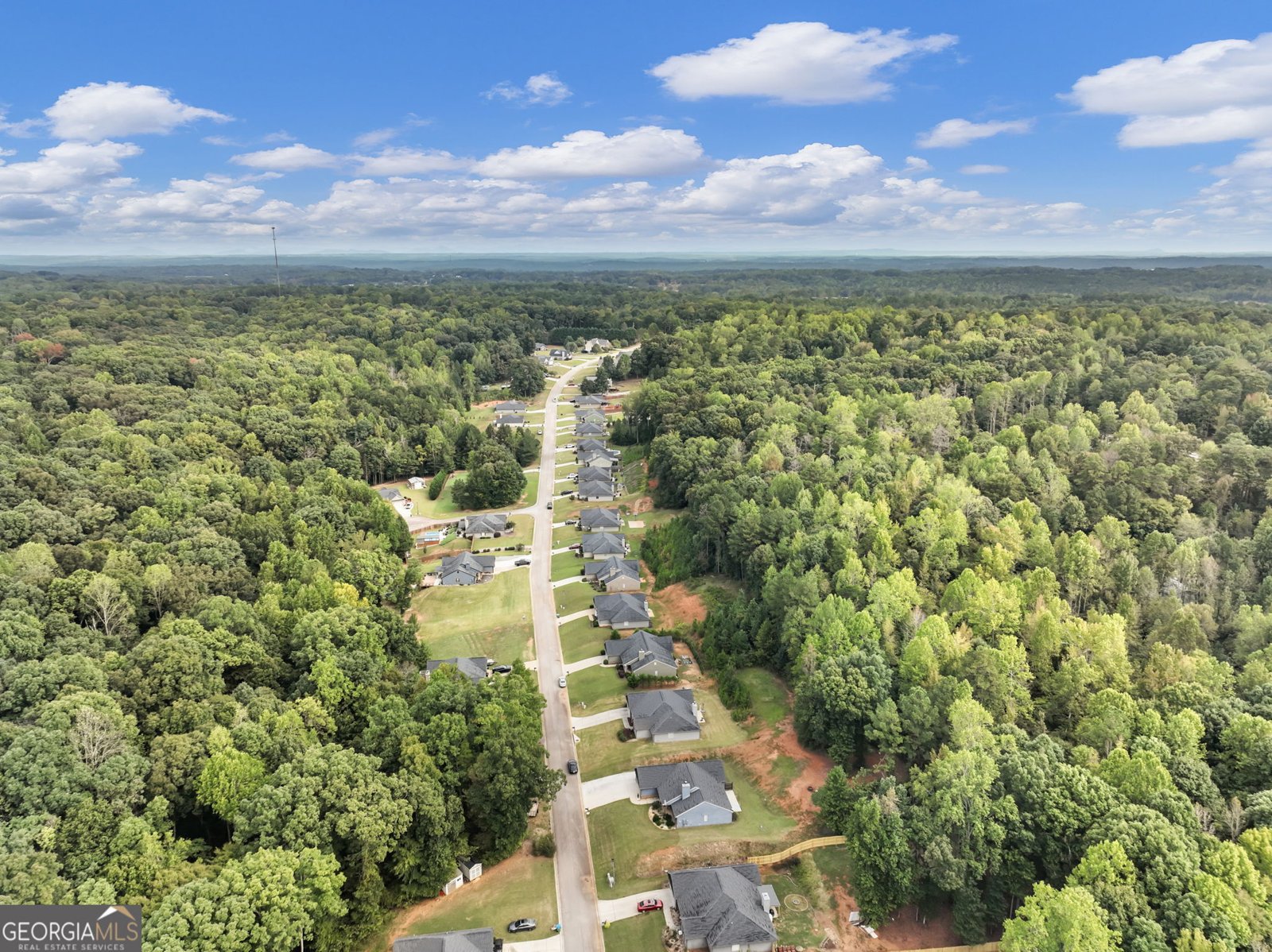 433 Emily Forest Way Pendergrass - Photo 57