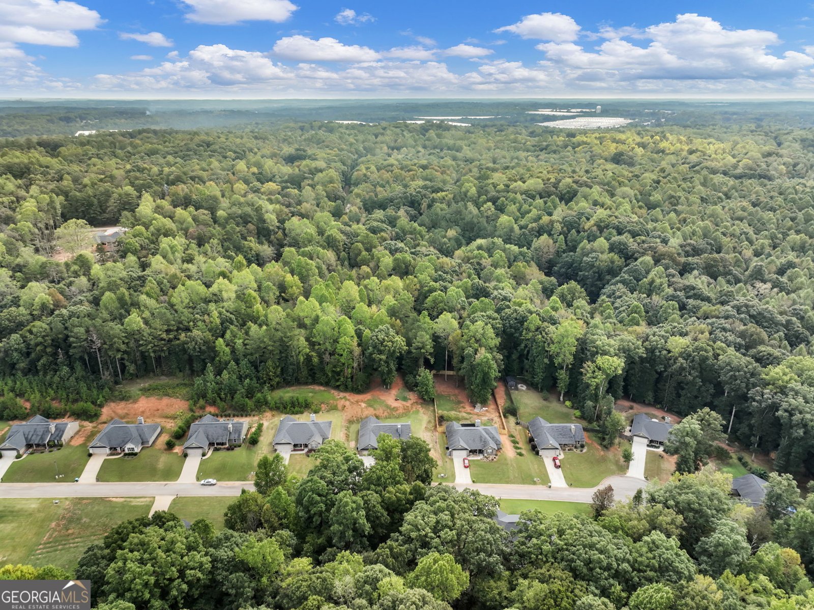 433 Emily Forest Way Pendergrass - Photo 59