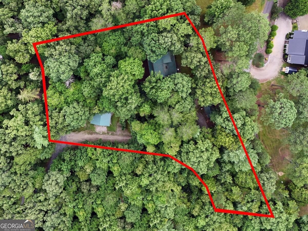 47 Walnut Cove Road Blairsville - Photo 12
