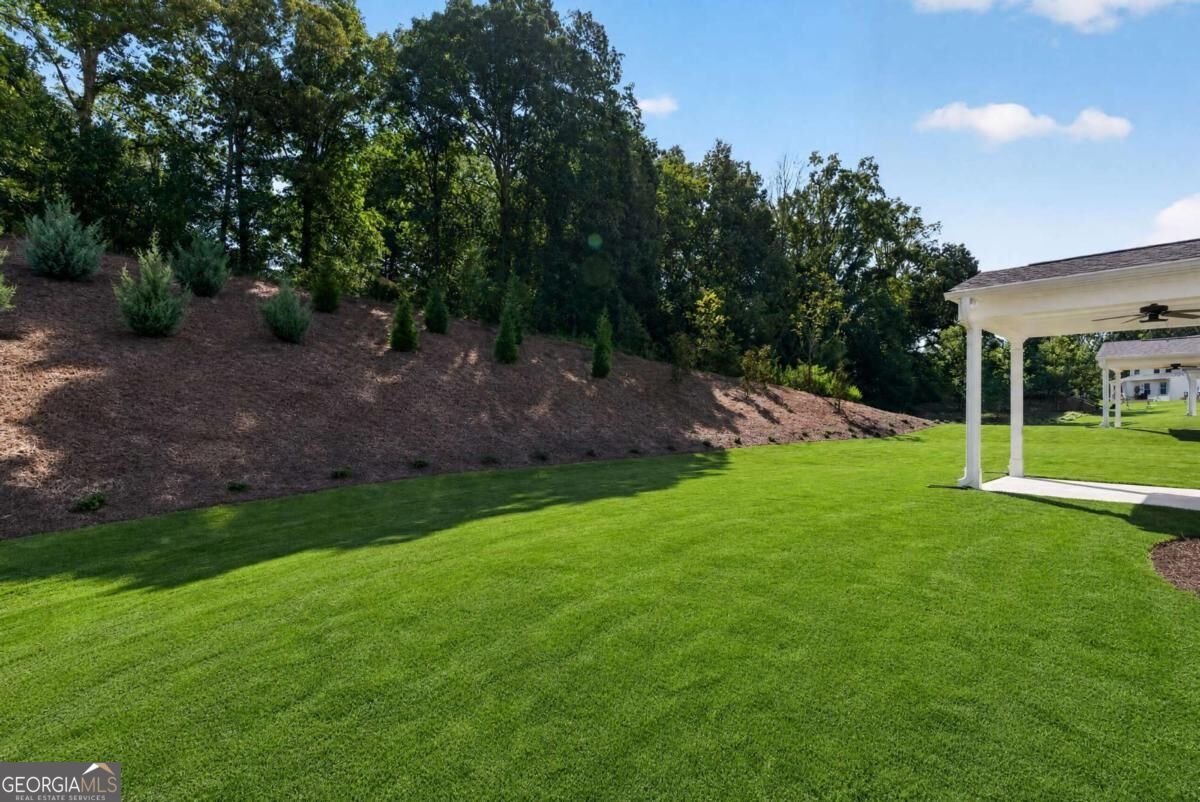 226 Trace Bluff Dawsonville - Photo 57