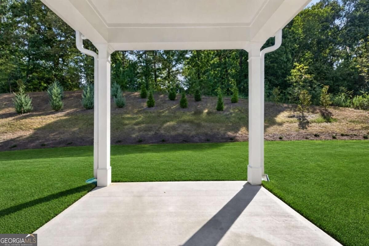 226 Trace Bluff Dawsonville - Photo 58