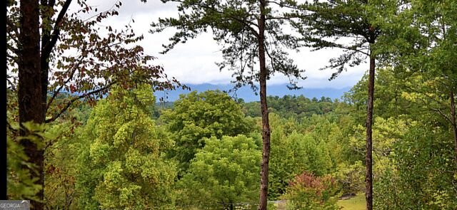 1035 Ritchie Creek Road Blue Ridge - Photo 37