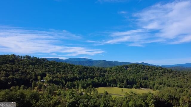 1035 Ritchie Creek Road Blue Ridge - Photo 38