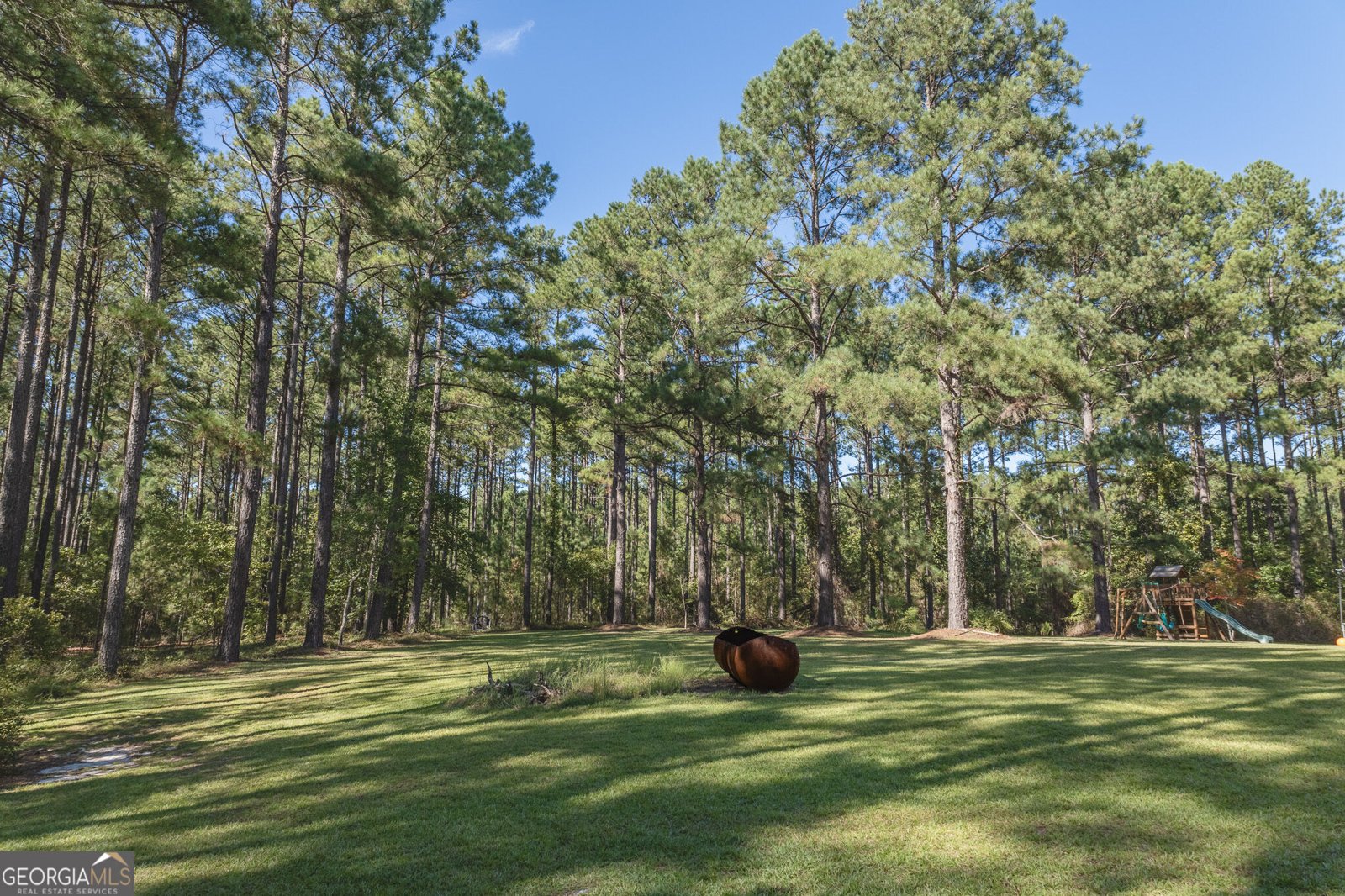 1412 Godbee Road Millen - Photo 62