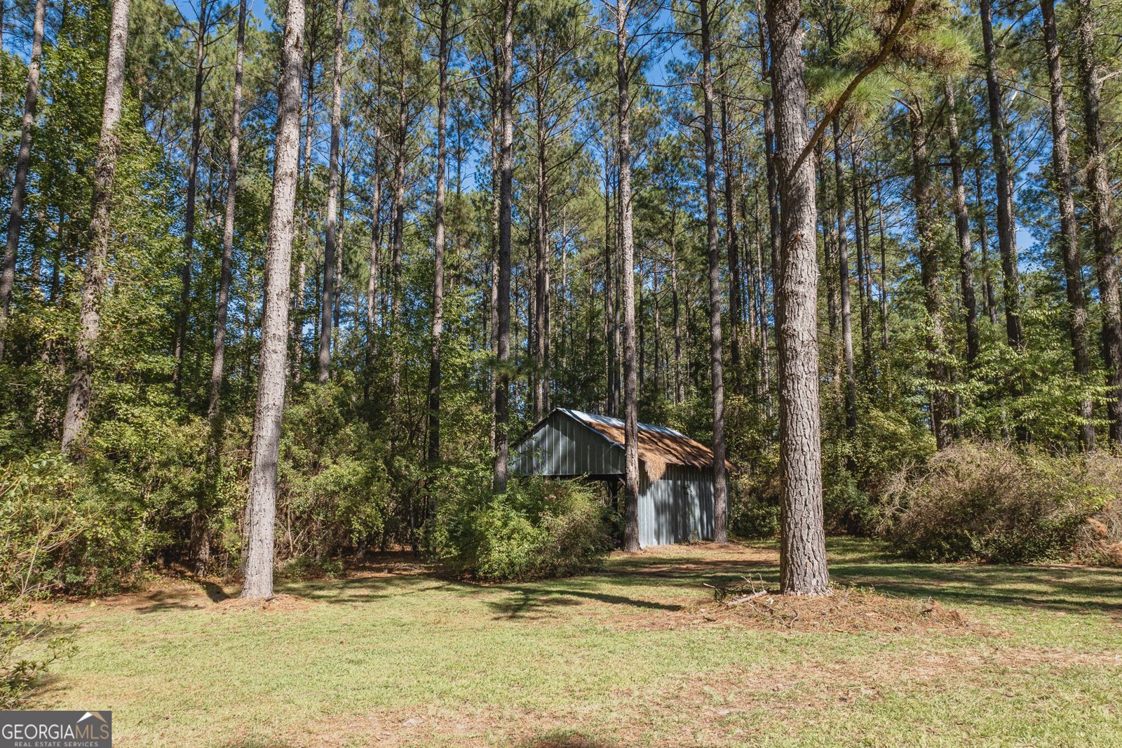 1412 Godbee Road Millen - Photo 64