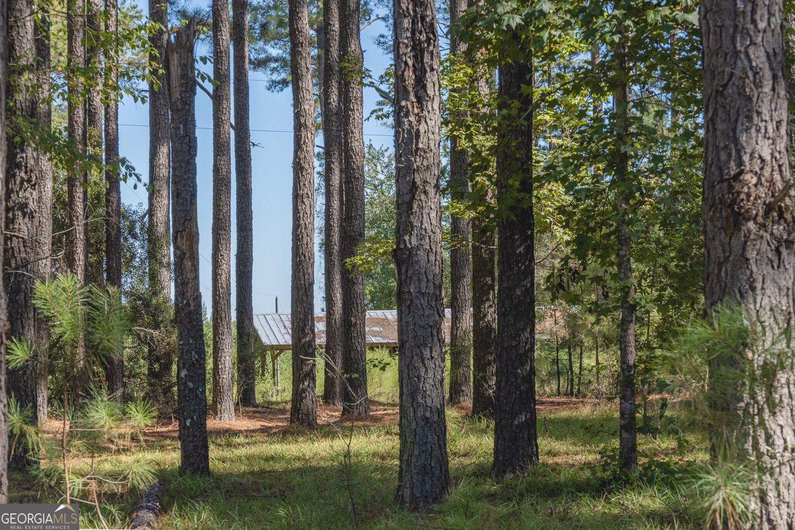 1412 Godbee Road Millen - Photo 69
