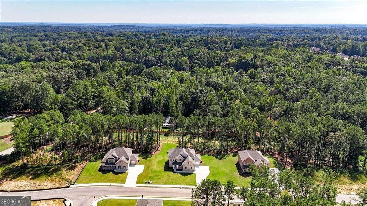 109 Southveiw Drive Ellenwood - Photo 49