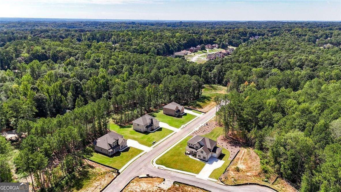 109 Southveiw Drive Ellenwood - Photo 51