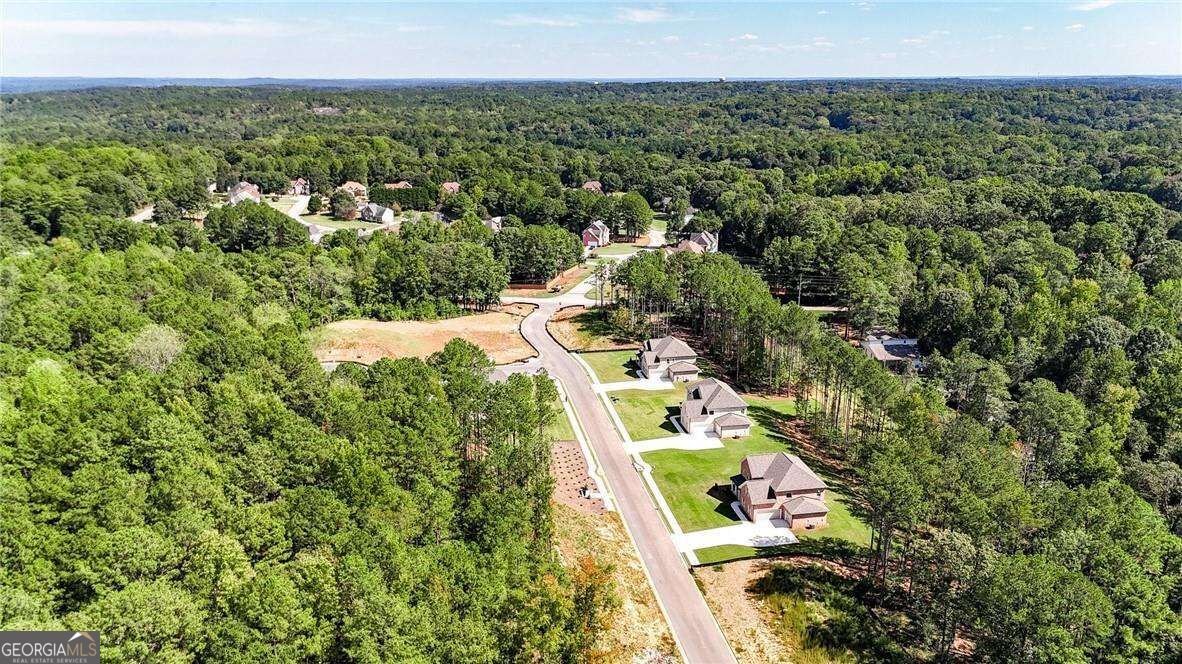 109 Southveiw Drive Ellenwood - Photo 53