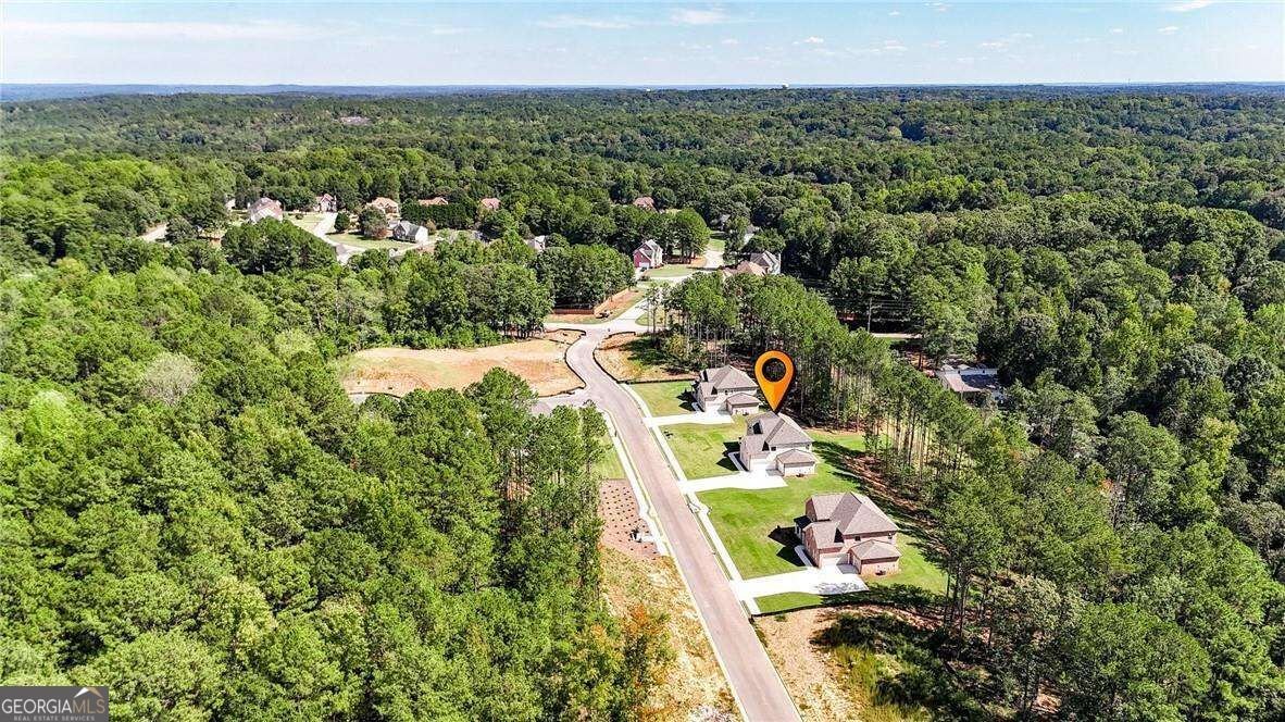 109 Southveiw Drive Ellenwood - Photo 54