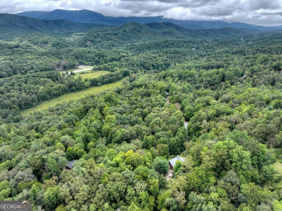 428 Tall Timber Mountain Road Cherry Log - Photo 12